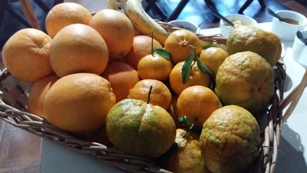 Pousada Três Coroas Εξωτερικό φωτογραφία